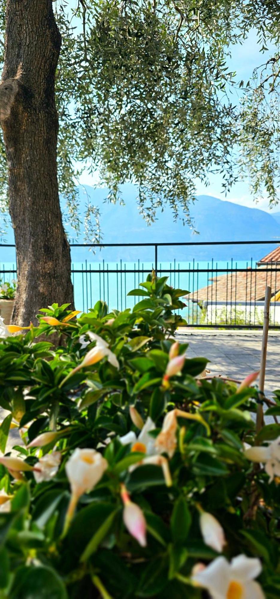 Apartament 59 Brenzone sul Garda Exterior foto